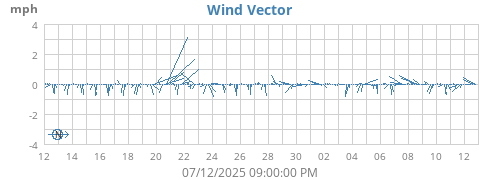 Wind Vector