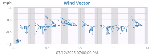 Wind Vector